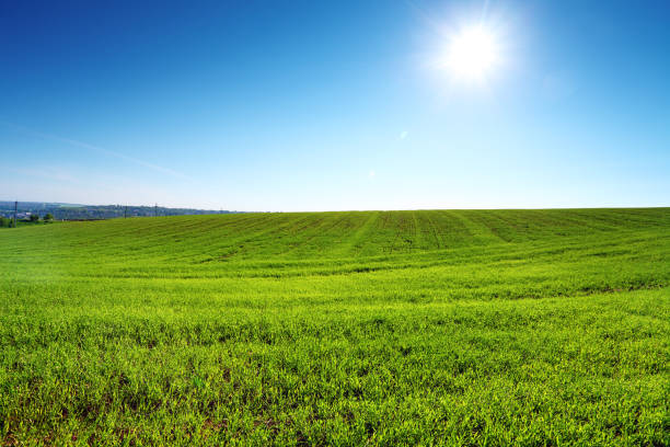 istock green field and sun on blue sky 697580864