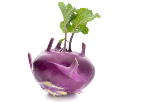 raíz de colinabo aislado sobre fondo blanco. - kohlrabi turnip cultivated vegetable fotografías e imágenes de stock