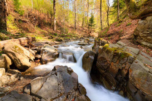 istock Landscape of river in mountains  and small waterfall. 697590888
