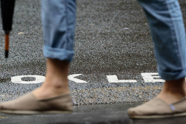 istock Woman next to zebra crossing, in heavy rain 697593780