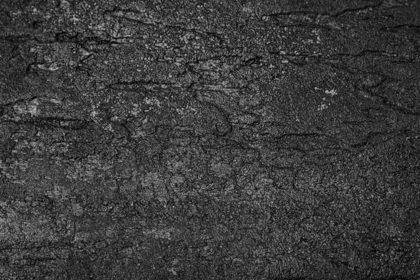 istock Black wood wall vintage background. 697600772