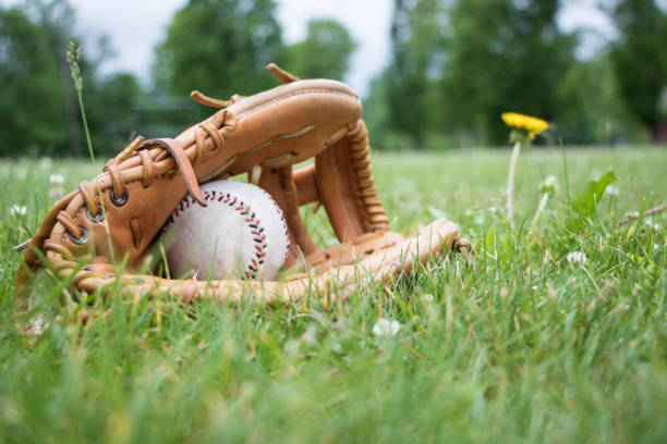 istock Glove and Baseball in Field 697603708
