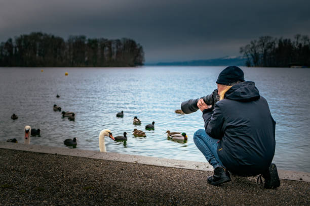 istock Person Photographing Birds In Lake 697604883