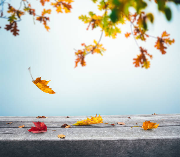 落ち葉で秋の背景 - dry leaves ストックフォトと画像