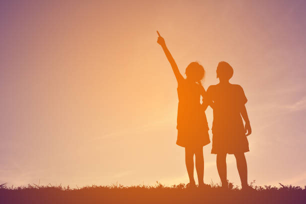 istock Girl Pointing With Boy While Standing On Field Against Sky During Sunset 697613157