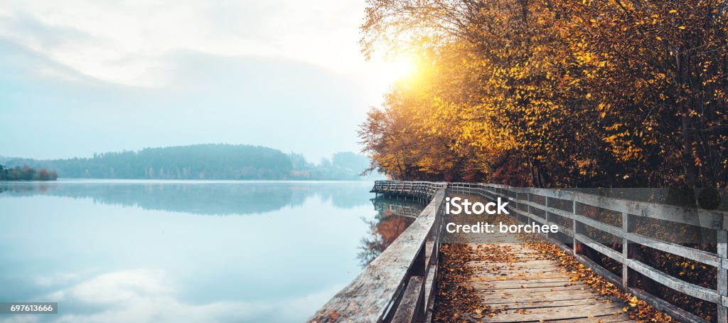 Caminho de Outono no lago - Foto de stock de Outono royalty-free