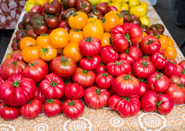 istock Red ripe tomatoes at the market 697618776