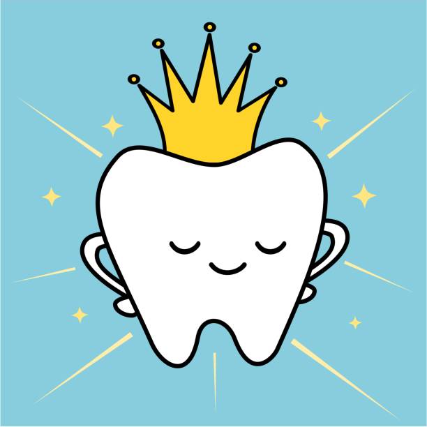 cute cartoon tooth with royal crown concept funny vector illustration cute cartoon tooth with royal crown concept funny vector illustration dental gold crown stock illustrations