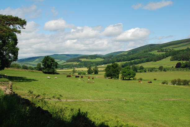 the Tweed valley near Traquair in Peebleshire stock photo