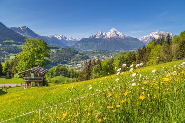 istock Alpine scenery with traditional mountain chalet in summer 697627504