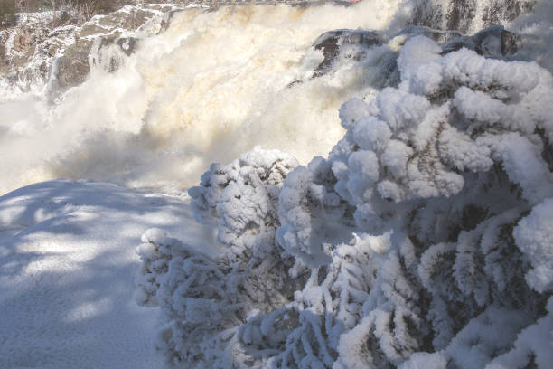 istock Frozen tree sculptures created by  cold weather and wind next to Muskoka Falls 697630324