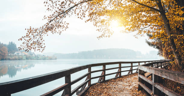 istock Autumn Path By The Lake 697633374