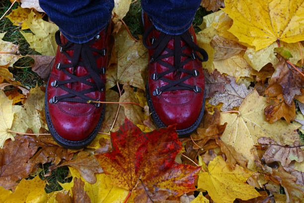 istock Low Section Of Man Wearing Boots While Standing On Fallen Maple Leaves During Autumn 697633837