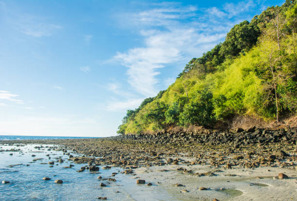 istock Unpopulated beach during low tide 697645370