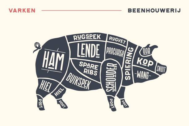 ilustrações de stock, clip art, desenhos animados e ícones de meat cuts. poster butcher diagram and scheme - pork - carne talho