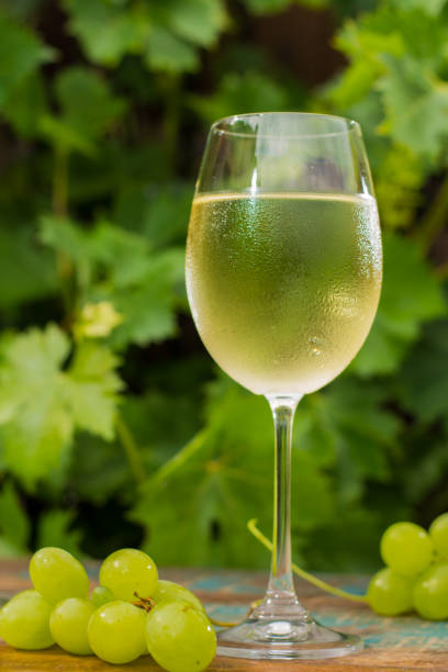 verre de vin avec vin blanc glacé, terrasse extérieure, dégustation de vins dans une journée ensoleillée, fond de jardin vert vigne - chardonnay grape focus on foreground france western europe photos et images de collection