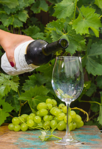 garçon, verser un verre de vin blanc glacé, terrasse extérieure, dégustation en journée ensoleillée, fond de jardin vert vigne - chardonnay grape focus on foreground france western europe photos et images de collection