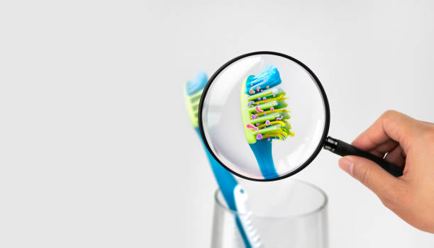 Bacteria in a toothbrush stock photo