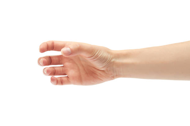 istock Beautiful female hand holding gesture. Isolated on white background 697657208