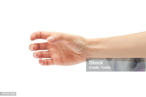 Beautiful Female Hand Holding Gesture Isolated On White Background Stock Photo - Download Image Now