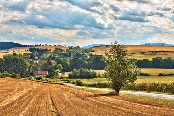 Sudety Range in Southern Poland at summer