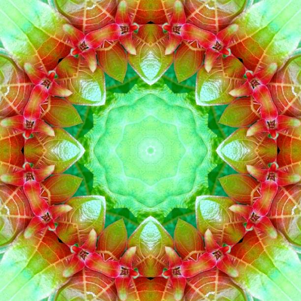 istock surface kaleidoscope Pattern,For scrapbook, wallpaper, cases for smartphones, web background, print, surface texture, pillows, towels, linens, bags, T-shirts,ceramic,page 697661294