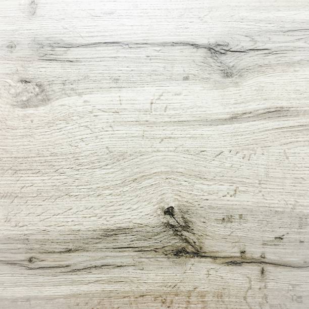 istock White Organic Wood Texture. Light Wooden Background. Old Washed Wood 697667332