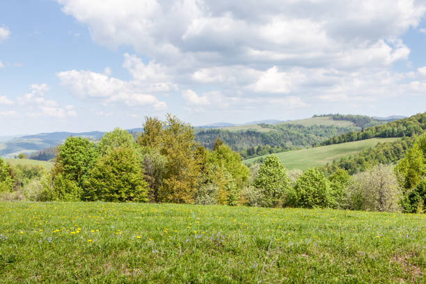 istock Mountain landscape, beauty of nature 697668224