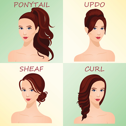 Womens Classic Hairstyles Stock Illustration - Download Image Now - Curly  Hair, Ponytail, Vector - iStock