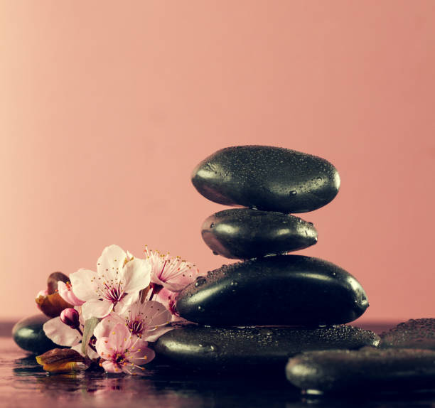 istock Beautiful pink Spa Flowers on Spa Hot Stones on Water Wet Background. Side Composition. Copy Space. Spa Concept. Bright Pink Background. 697674838