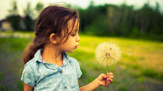 Lovely girl blowing on a dandelion