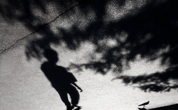 Blurry shadow of a boy, pigeon and treetops