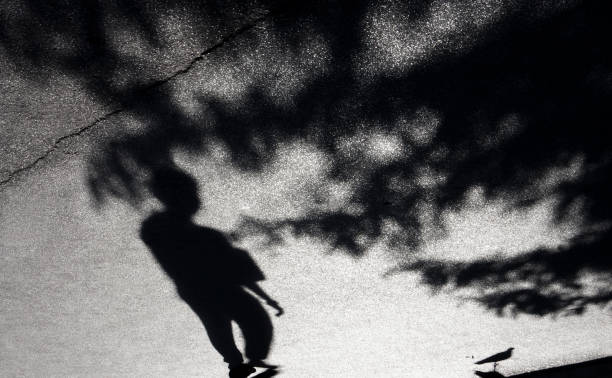 Blurry shadow of a boy, pigeon and treetops stock photo