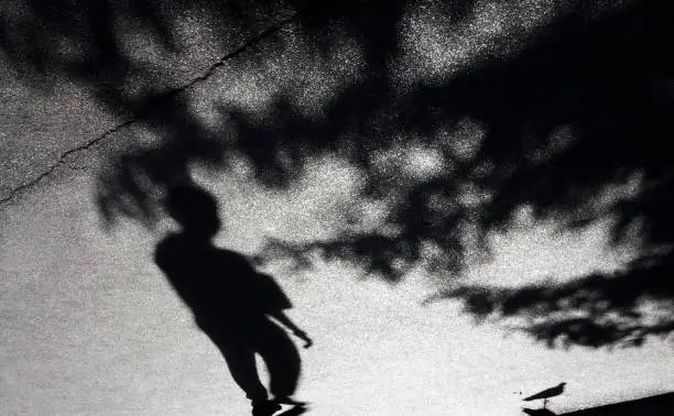 Photo of Blurry shadow of a boy, pigeon and treetops