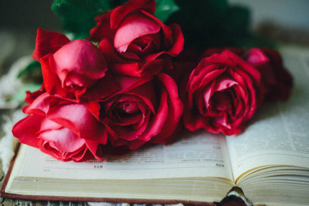 istock Red roses on wooden vintage table with copy space 697678114