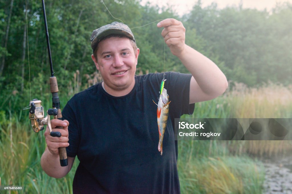 The perch caught on a bait. Fishing on the river. 2017 Stock Photo