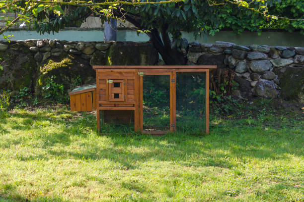 istock Chicken coop with chickens in urban neighborhood setting 697695206