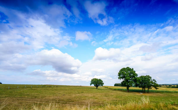 istock view from Belgium Europe 697695922