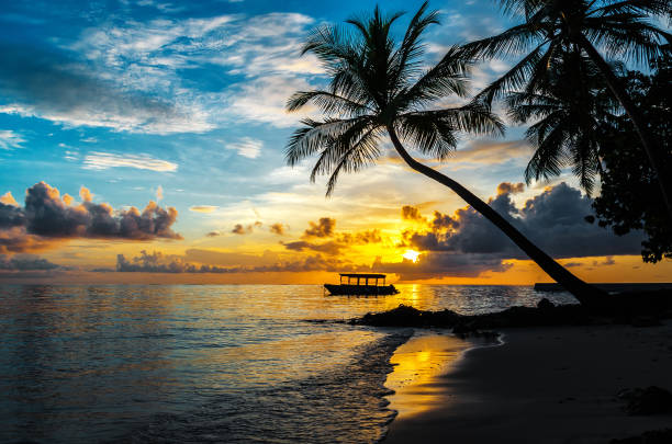 istock Sunset in the Maldives 697696052
