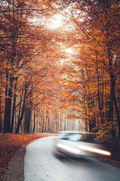 istock Country Road In Autumn 697702490