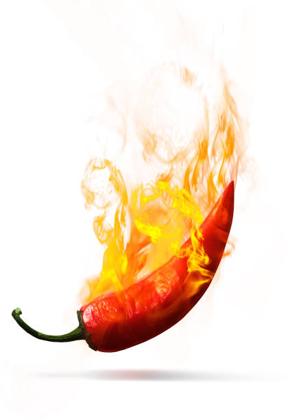 Red hot pepper stock photo