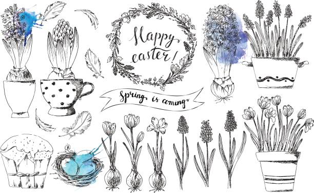 рука обращается чернилами пасхальный весенний набор с синим акварелью брызг. - crocus easter spring flower stock illustrations