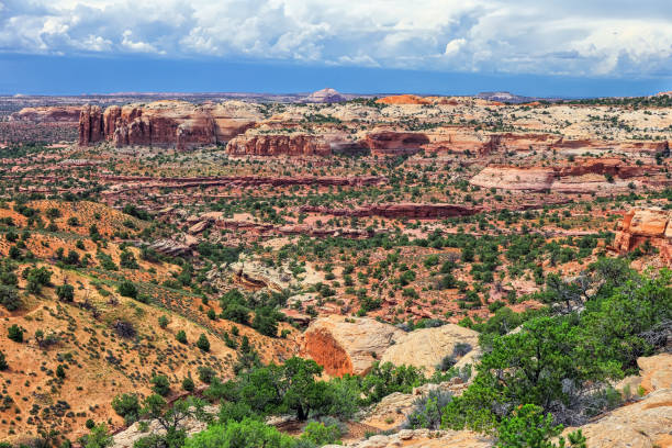 istock Canyonlands Vista 697702790