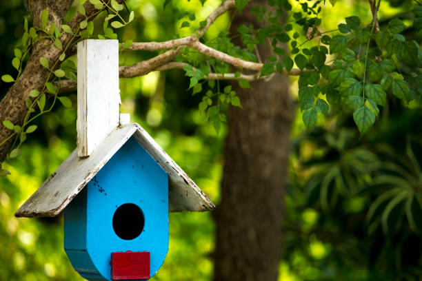 istock Wooden bird house 697712674