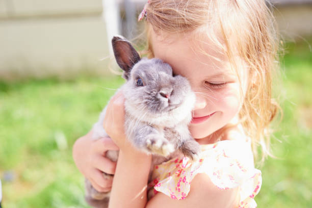 istock A girl and a rabbit 697715496