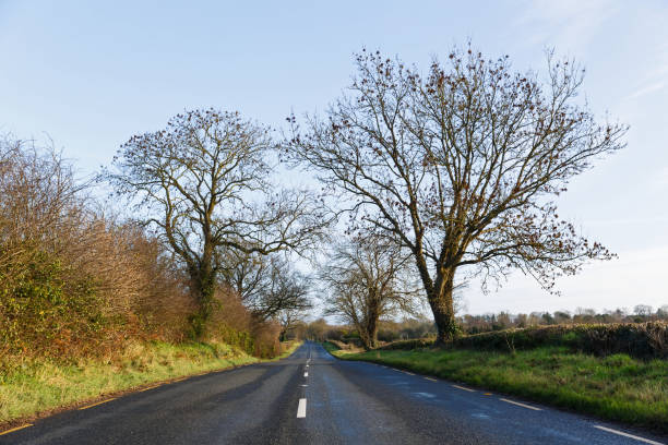 istock The road to home 697716180