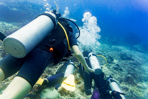 istock Two divers scuba diving in tropical sea at reef 697719668