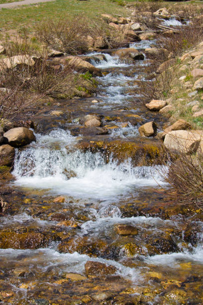 rivière qui coule à travers le parc national des montagnes rocheuses - big thompson river photos et images de collection