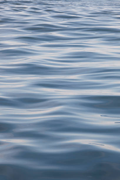 istock Repetitive waves in the ocean. 697727492