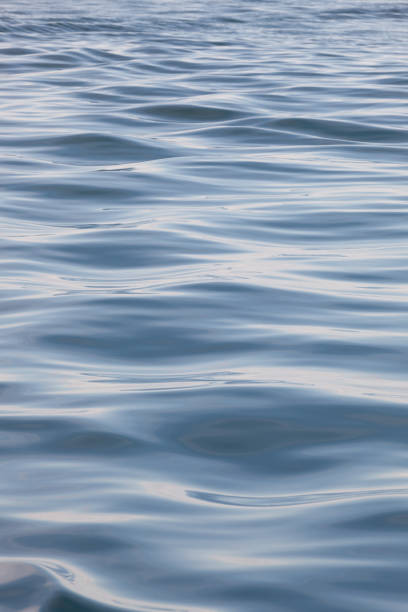 istock Repetitive waves in the ocean. 697728250